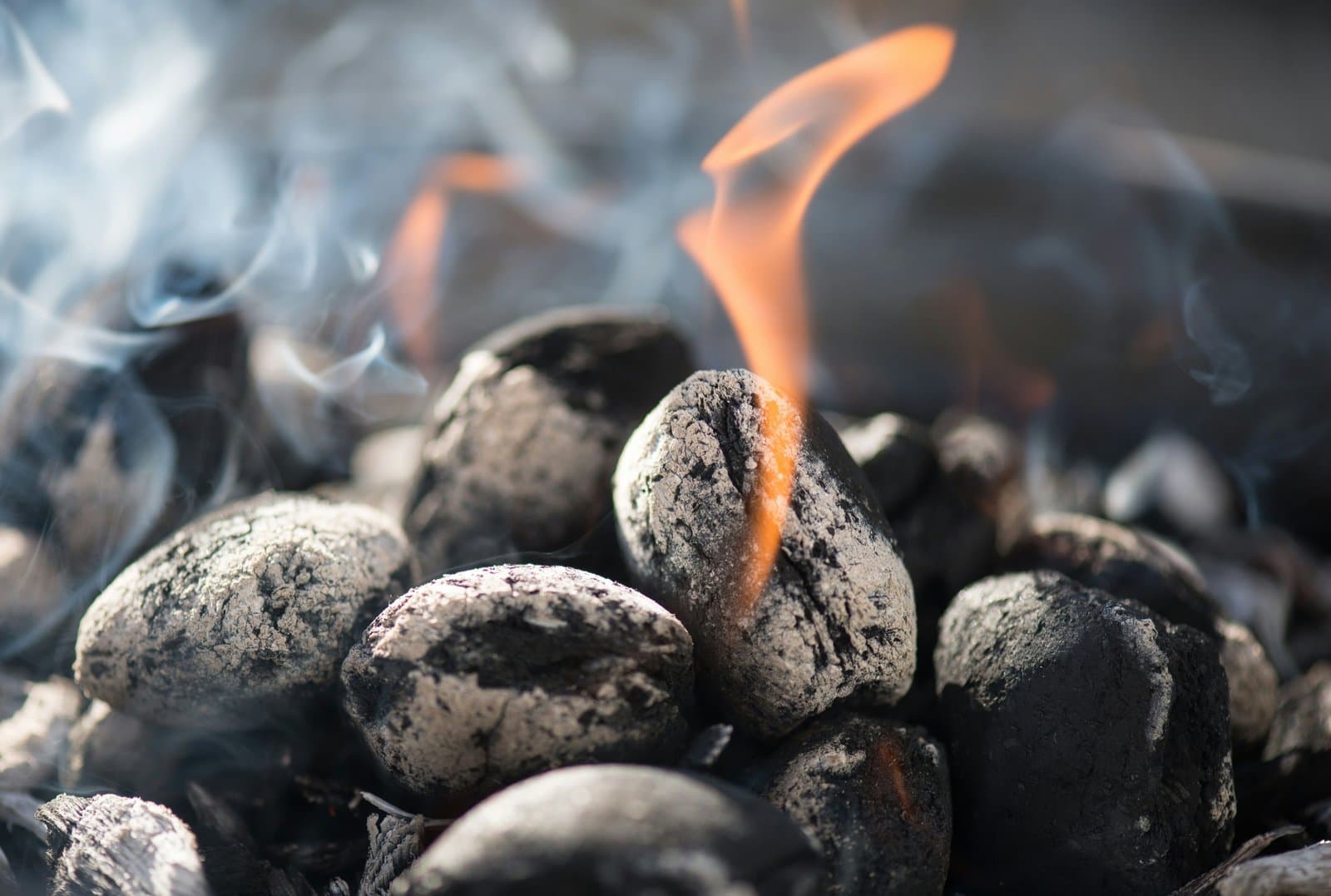 The Rising Demand for Coconut Charcoal Briquettes: Why Importers Choose Indonesia
